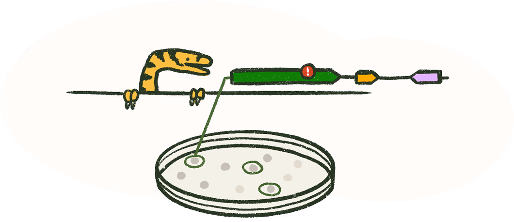 Dino dish