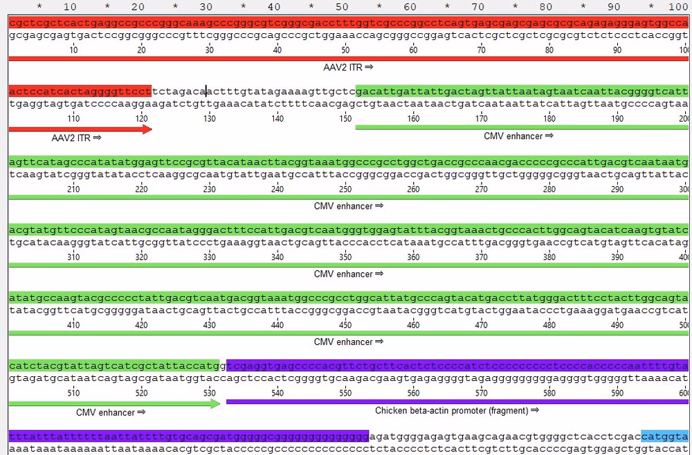 AAV Genbank example image
