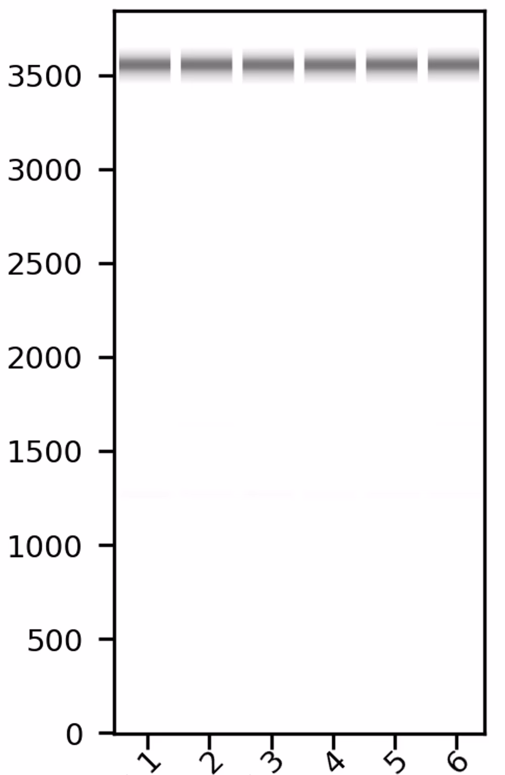 AAV Virtual gel example
