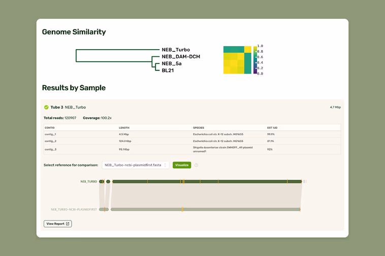Bacterial Genome Comparison Tool Demo