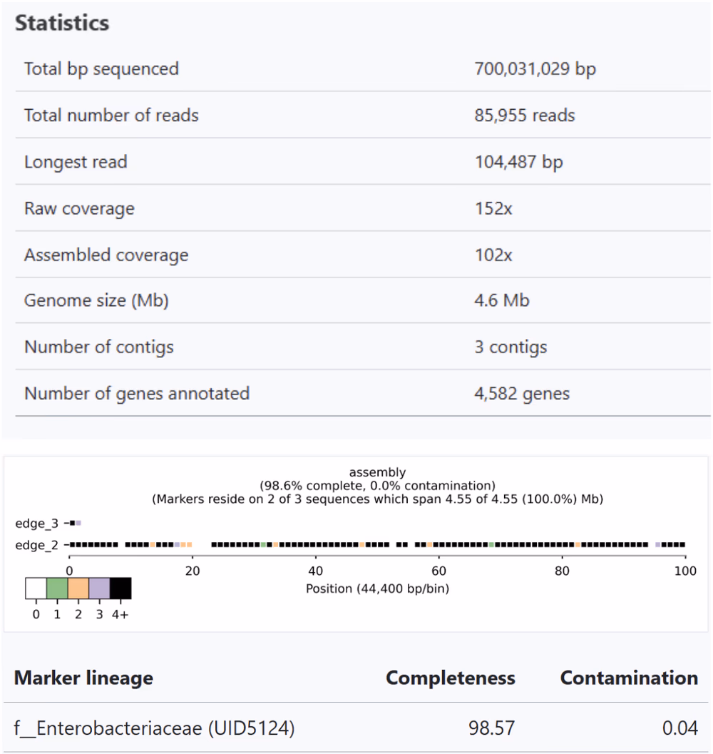 Genome Assembly statistics