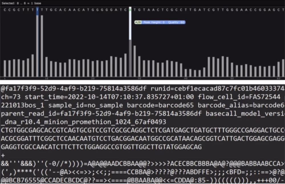 Genome Raw Reads