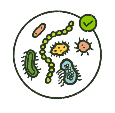 Microbiome 1