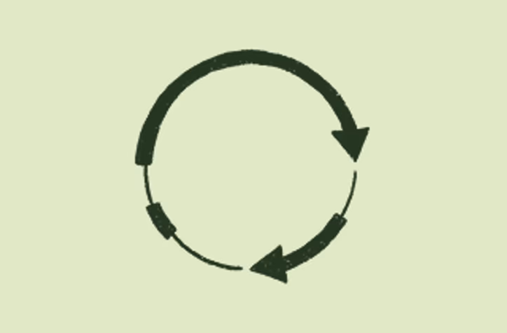 Plasmid