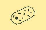 Tech Doc Bacteria