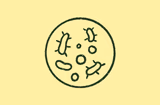Tech Doc Microbiome
