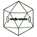 Illustration aav
