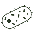 Illustration bacteria