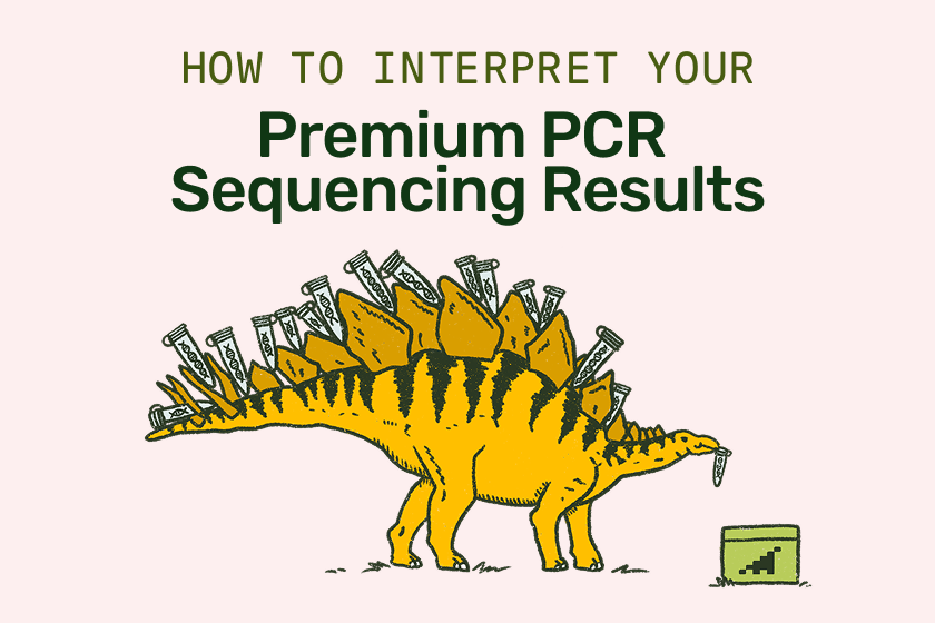 Plasmidsaurus Sample How to Interpret Plasmidsaurus Premium PCR Sequencing Results Tutorial ...