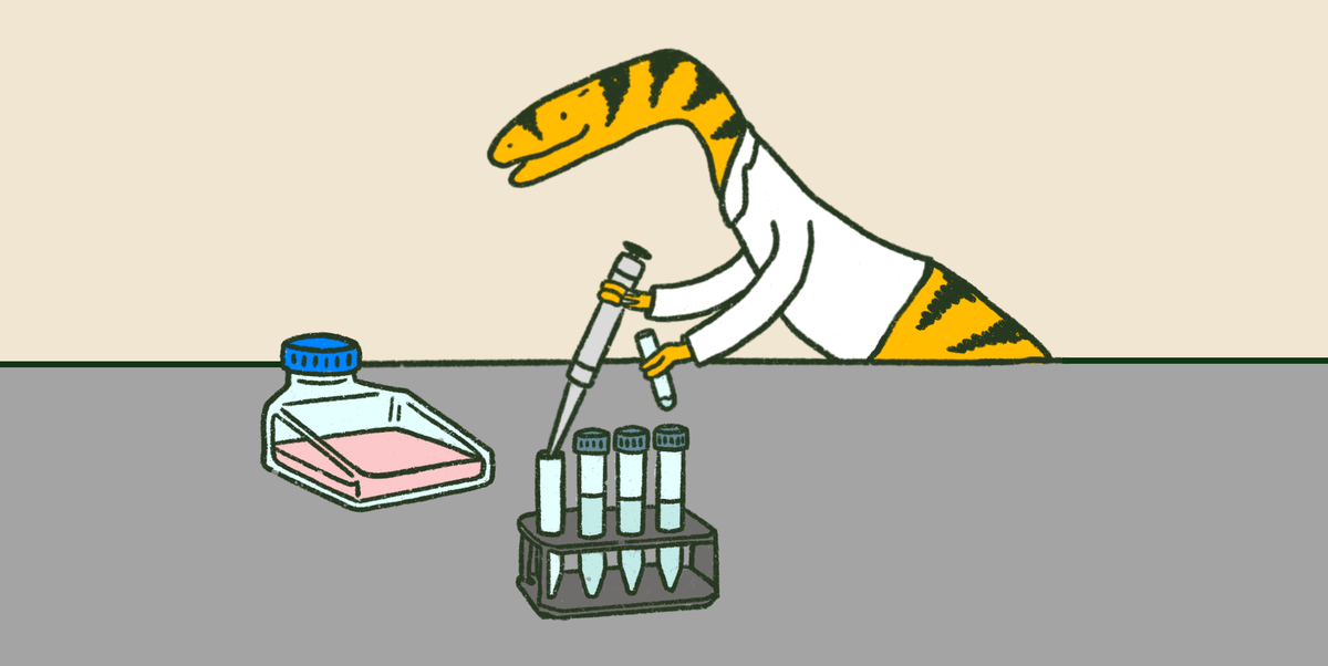 RNA PR
