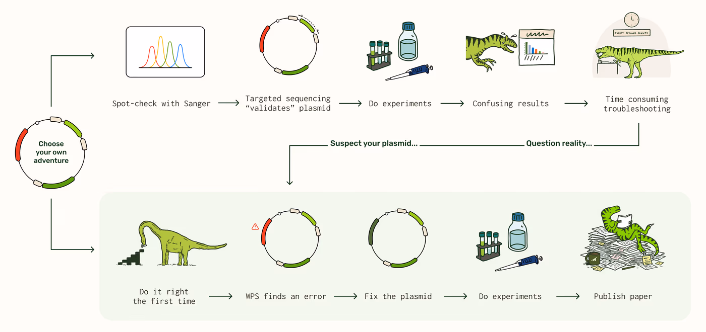 https://plasmid-saurus.transforms.svdcdn.com/production/Resource-Center/Blogs/PS-0026-E-When-should-you-sequence-the-whole-plasmid/CYOA.png?w=4000&h=1886&auto=compress%2Cformat&fit=crop&dm=1790964220&s=c7326190b3c01ce7e4c8aa218750d6ff