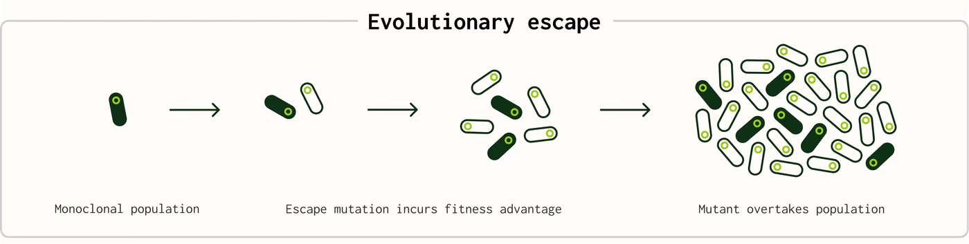 https://plasmid-saurus.transforms.svdcdn.com/production/Resource-Center/Blogs/PS-0026-E-When-should-you-sequence-the-whole-plasmid/evoluionary-escape.png?w=4000&h=1007&auto=compress%2Cformat&fit=crop&dm=1790964226&s=ef00bc1648e3ce4840c6df7571e4f661