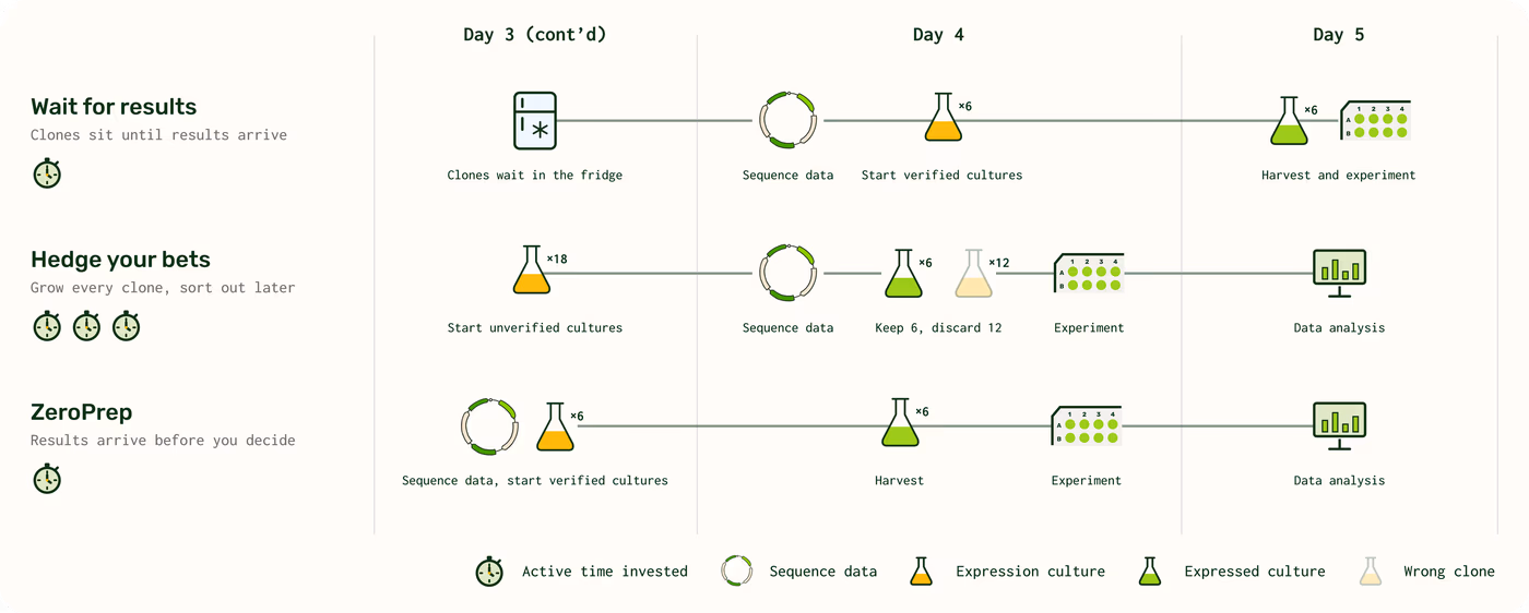 https://plasmid-saurus.transforms.svdcdn.com/production/Resource-Center/Blogs/PS-0030-E-ZeroPrep-Because-lifes-too-short-to-prep-dud-clones/ZeroPrep-Expression-benefits.png?w=4000&h=1607&auto=compress%2Cformat&fit=crop&dm=1792609436&s=2b165676bc8b2a675be66dc9547a56ce