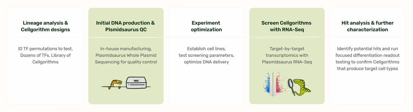 https://plasmid-saurus.transforms.svdcdn.com/production/Resource-Center/Case-Studies/PS-0012-E-Case-Study_Syntax/Syntax_timeline.png?w=4000&h=1086&auto=compress%2Cformat&fit=crop&dm=1788287528&s=70b48fbe9ba990f5ed8439a64815d964