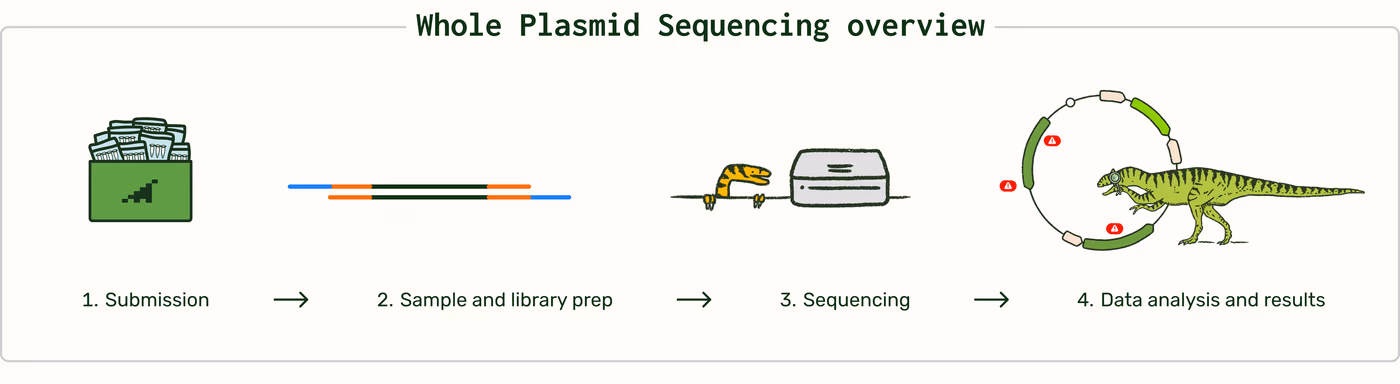 https://plasmid-saurus.transforms.svdcdn.com/production/Resource-Center/Tech-Docs/PS-0002-E-Whole-Plasmid-Sequencing/WPS-Overview.png?w=4000&h=1096&auto=compress%2Cformat&fit=crop&dm=1790008753&s=9dea7841f2413f2eee20c384a9552669
