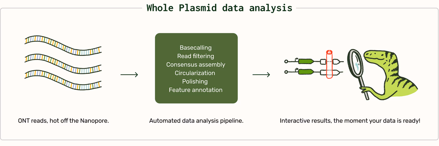 https://plasmid-saurus.transforms.svdcdn.com/production/Resource-Center/Tech-Docs/PS-0002-E-Whole-Plasmid-Sequencing/Whole-Plasmid-Data-analysis.png?w=4000&h=1329&auto=compress%2Cformat&fit=crop&dm=1789658629&s=cbe597a01a9f9706e20e723e84c2bb7e
