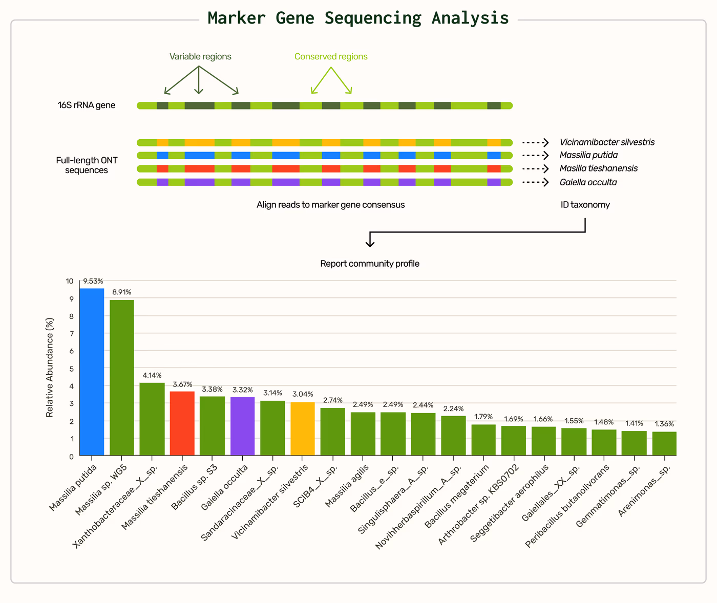 https://plasmid-saurus.transforms.svdcdn.com/production/Resource-Center/Tech-Docs/PS-0003-E-Microbial-Marker-Gene-Sequencing-16S18SITS/marker_gene_seq_analysis-1.png?w=4000&h=3366&auto=compress%2Cformat&fit=crop&dm=1789400933&s=396a0a463bdad9a36696c035b94c7e92