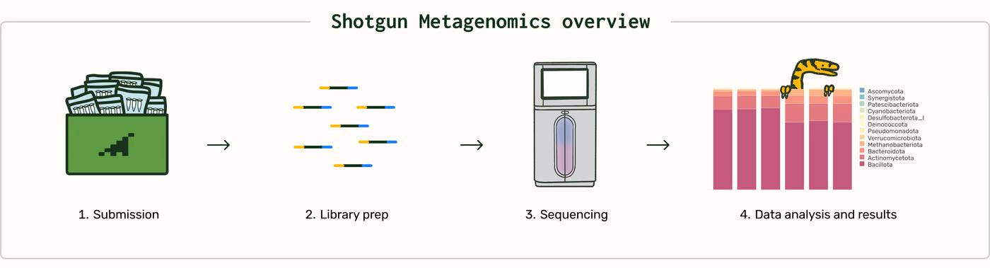 https://plasmid-saurus.transforms.svdcdn.com/production/Resource-Center/Tech-Docs/PS-0005-E-Shotgun-Metagenomics/Shotgun-Metagenomics-Overview.png?w=4000&h=1084&auto=compress%2Cformat&fit=crop&dm=1790094496&s=2d5950604e10c5b2a4b63275a27635c8