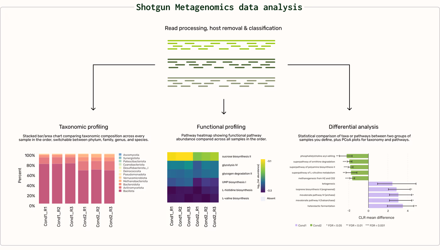https://plasmid-saurus.transforms.svdcdn.com/production/Resource-Center/Tech-Docs/PS-0005-E-Shotgun-Metagenomics/Shotgun-Metagenomics-data-analysis-2.png?w=4000&h=2274&auto=compress%2Cformat&fit=crop&dm=1790094476&s=436617a4b45f508abfd4ded37fbed9a4