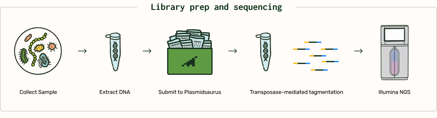 https://plasmid-saurus.transforms.svdcdn.com/production/Resource-Center/Tech-Docs/PS-0005-E-Shotgun-Metagenomics/Shotgun-Metagenomics-library-prep-and-sequencing.png?w=4000&h=1087&auto=compress%2Cformat&fit=crop&dm=1790094491&s=13c9cba8e7806e3eb4ca9556e588c455