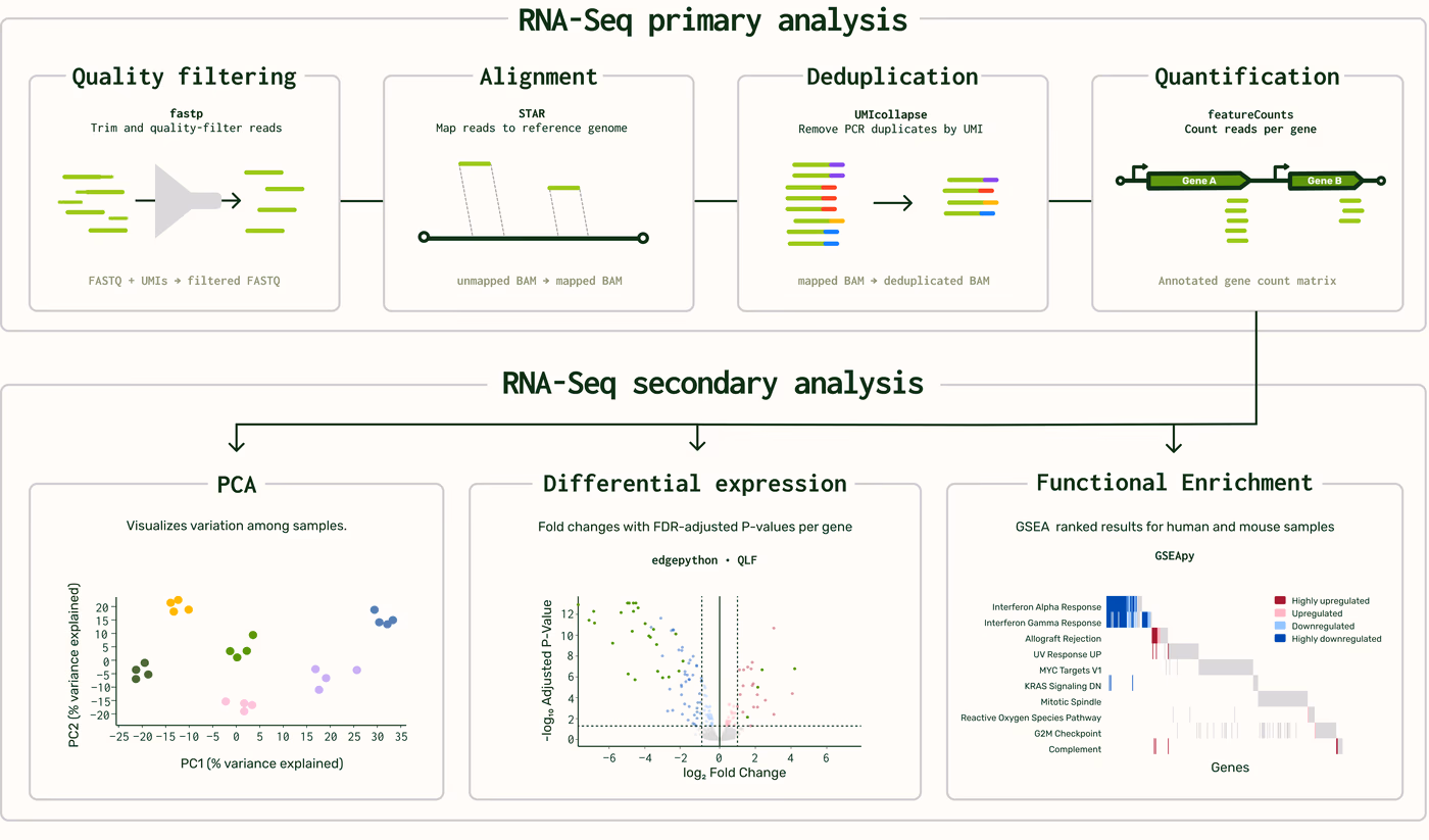 RNA-Seq analysis workflow