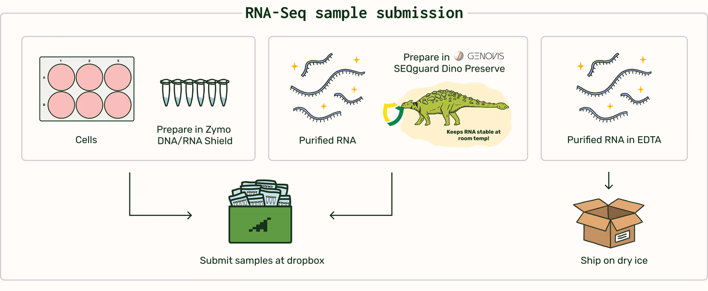 https://plasmid-saurus.transforms.svdcdn.com/production/Resource-Center/Tech-Docs/PS-0006-E-RNA-Seq/RNA-Seq-Sample-Submission.png?w=4000&h=1647&auto=compress%2Cformat&fit=crop&dm=1789685312&s=717e591cd504273abf78662be9cf73d4