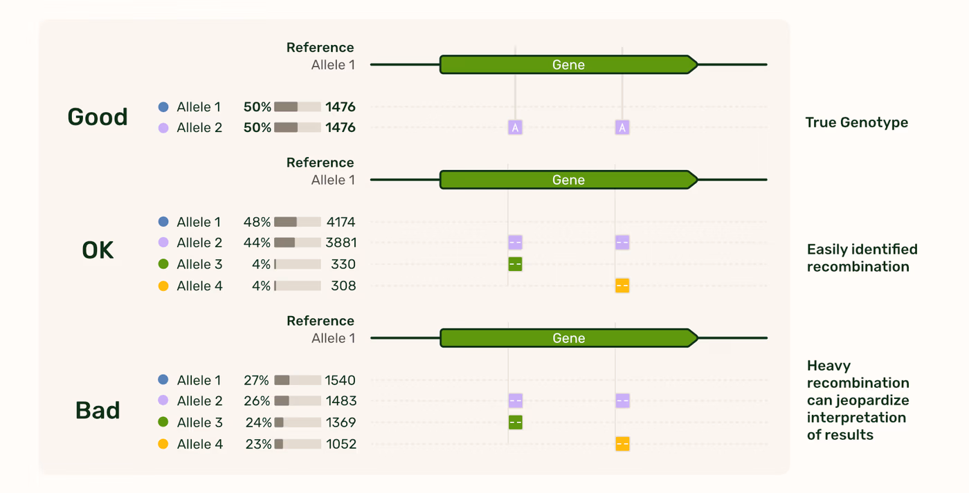 https://plasmid-saurus.transforms.svdcdn.com/production/Resource-Center/Tech-Notes/PS-0010-E-TechNote_Amplicon_pcr-mediated-recombination-artifacts/Recombination_Examples.png?w=1657&h=844&auto=compress%2Cformat&fit=crop&dm=1788200706&s=dc2ac78e8eab96f12f5bf6b09c882f55