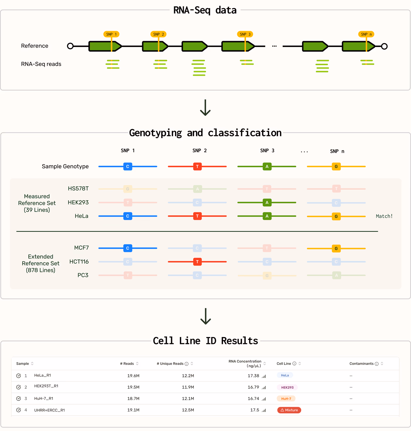 https://plasmid-saurus.transforms.svdcdn.com/production/Resource-Center/Tech-Notes/PS-0013-E-TechNote_RNA-Seq_Cell-Line-ID/RNA-Seq_Cell-line-ID.png?w=3817&h=4000&auto=compress%2Cformat&fit=crop&dm=1790785346&s=2206211aadf0a9560734f3b3c577e183