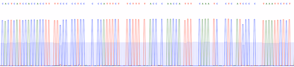 Consensus sequence